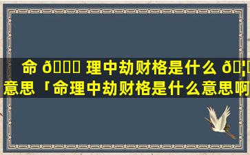 命 🍁 理中劫财格是什么 🦋 意思「命理中劫财格是什么意思啊」